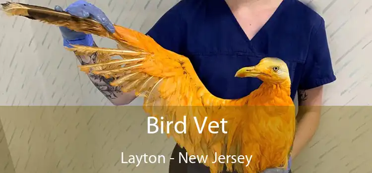 Bird Vet Layton - New Jersey