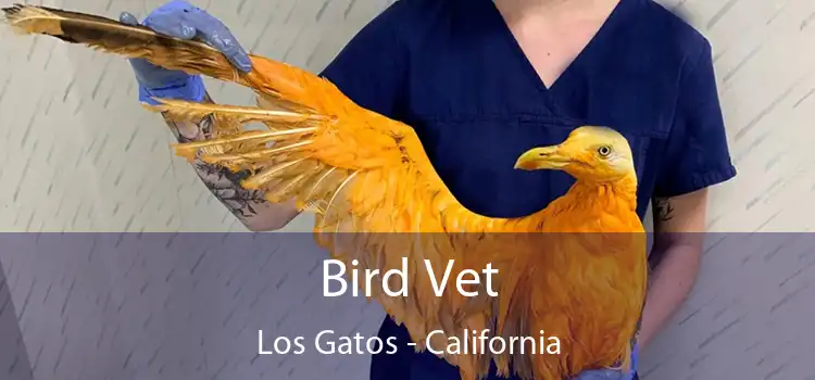 Bird Vet Los Gatos - California