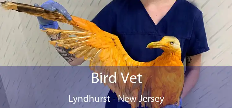 Bird Vet Lyndhurst - New Jersey