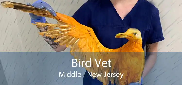 Bird Vet Middle - New Jersey