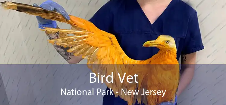 Bird Vet National Park - New Jersey