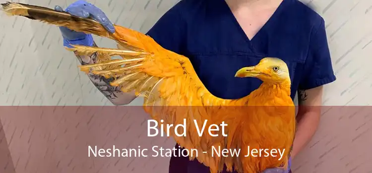 Bird Vet Neshanic Station - New Jersey