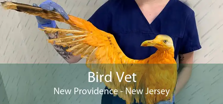 Bird Vet New Providence - New Jersey