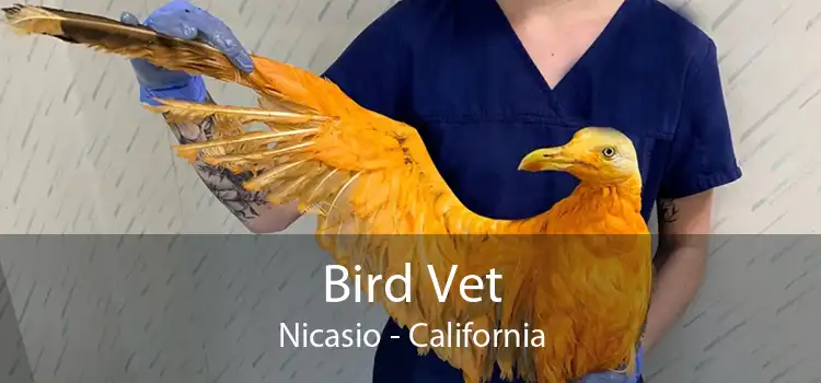 Bird Vet Nicasio - California