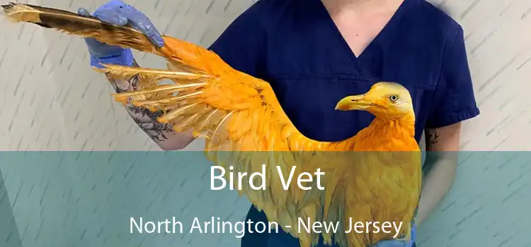 Bird Vet North Arlington - New Jersey