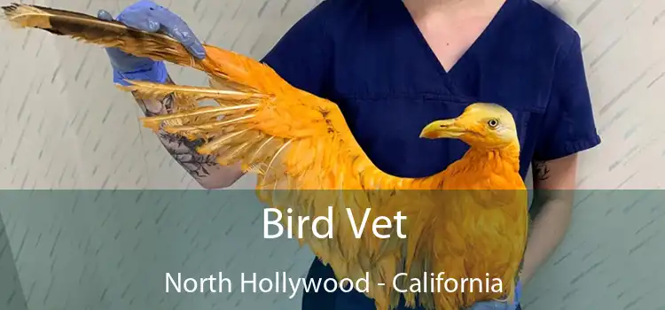 Bird Vet North Hollywood - California