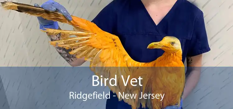Bird Vet Ridgefield - New Jersey