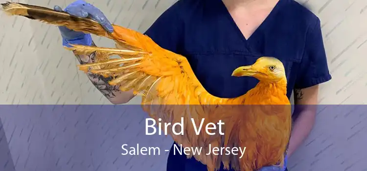 Bird Vet Salem - New Jersey
