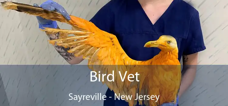 Bird Vet Sayreville - New Jersey