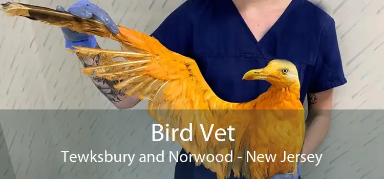 Bird Vet Tewksbury and Norwood - New Jersey