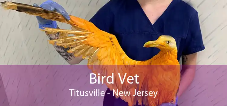 Bird Vet Titusville - New Jersey