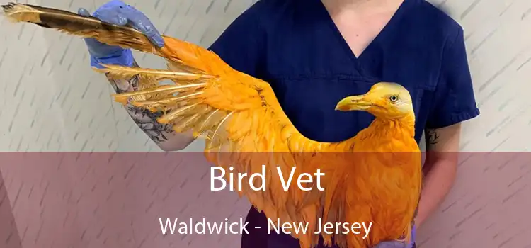 Bird Vet Waldwick - New Jersey