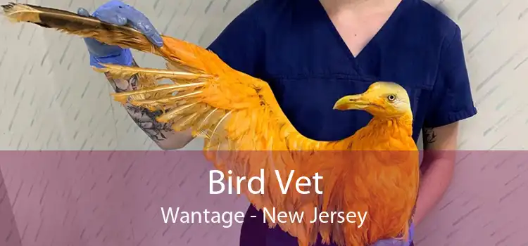 Bird Vet Wantage - New Jersey
