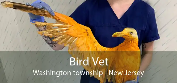 Bird Vet Washington township - New Jersey