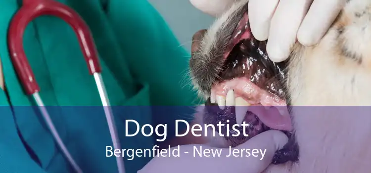 Dog Dentist Bergenfield - New Jersey