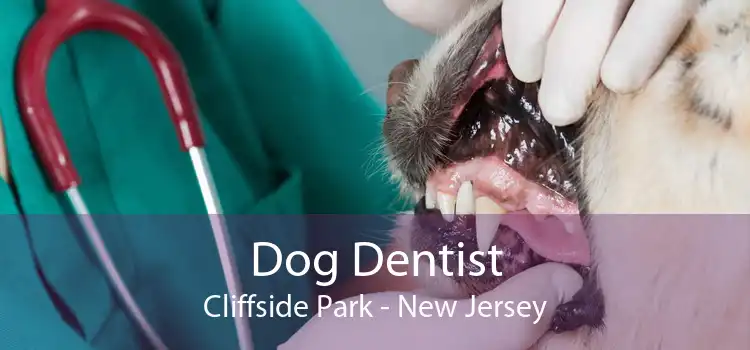 Dog Dentist Cliffside Park - New Jersey