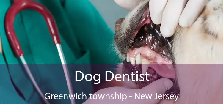 Dog Dentist Greenwich township - New Jersey