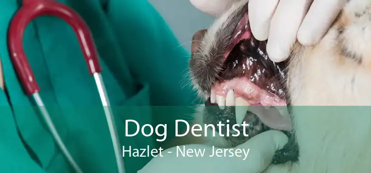 Dog Dentist Hazlet - New Jersey