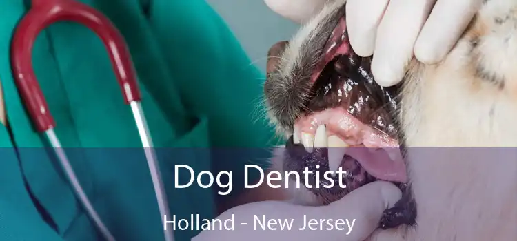 Dog Dentist Holland - New Jersey