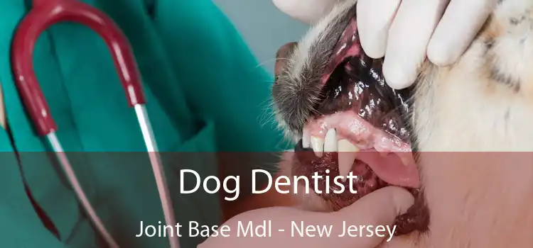 Dog Dentist Joint Base Mdl - New Jersey