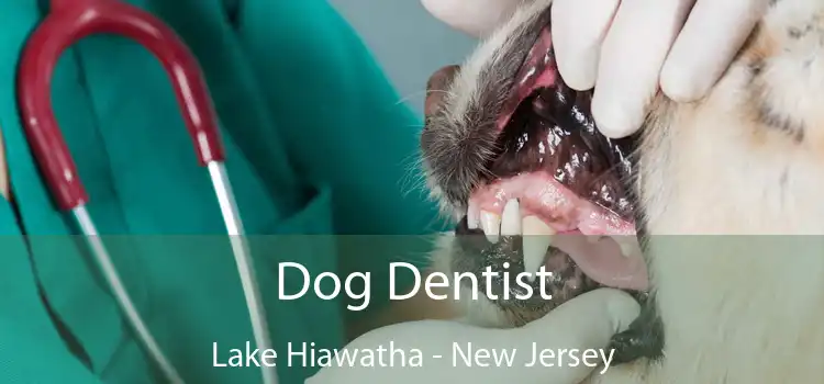 Dog Dentist Lake Hiawatha - New Jersey