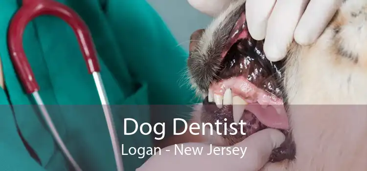 Dog Dentist Logan - New Jersey