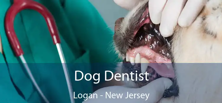 Dog Dentist Logan - New Jersey