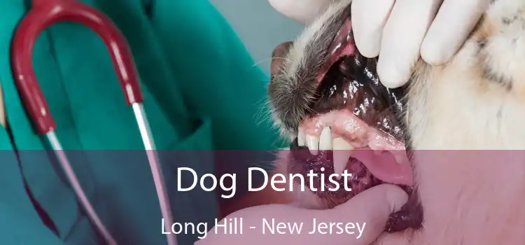 Dog Dentist Long Hill - New Jersey