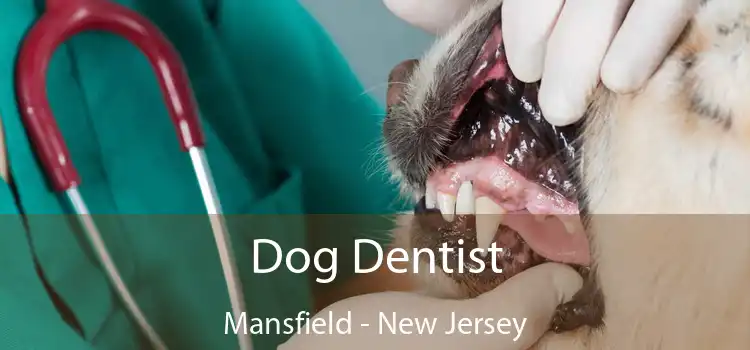 Dog Dentist Mansfield - New Jersey