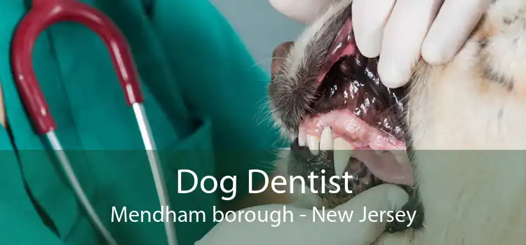 Dog Dentist Mendham borough - New Jersey