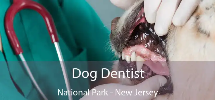 Dog Dentist National Park - New Jersey