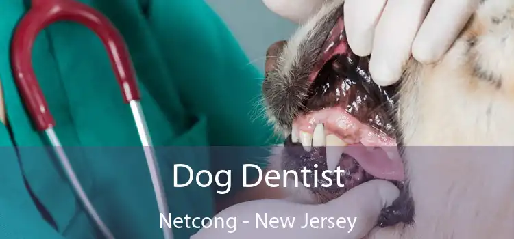Dog Dentist Netcong - New Jersey