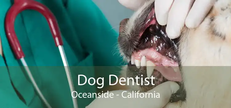 Dog Dentist Oceanside - California