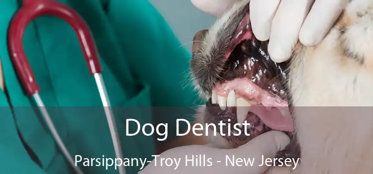 Dog Dentist Parsippany-Troy Hills - New Jersey