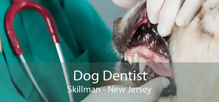 Dog Dentist Skillman - New Jersey