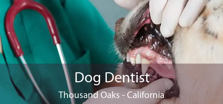 Dog Dentist Thousand Oaks - California