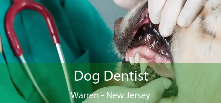 Dog Dentist Warren - New Jersey