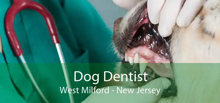 Dog Dentist West Milford - New Jersey