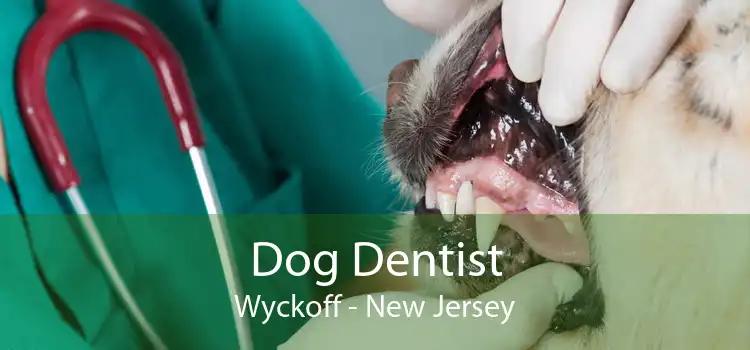 Dog Dentist Wyckoff - New Jersey
