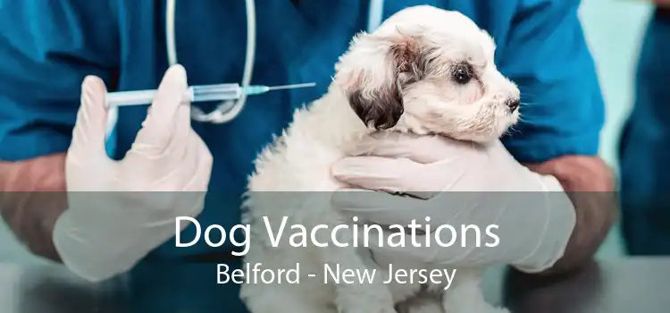 Dog Vaccinations Belford - New Jersey