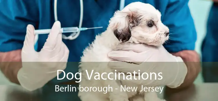 Dog Vaccinations Berlin borough - New Jersey