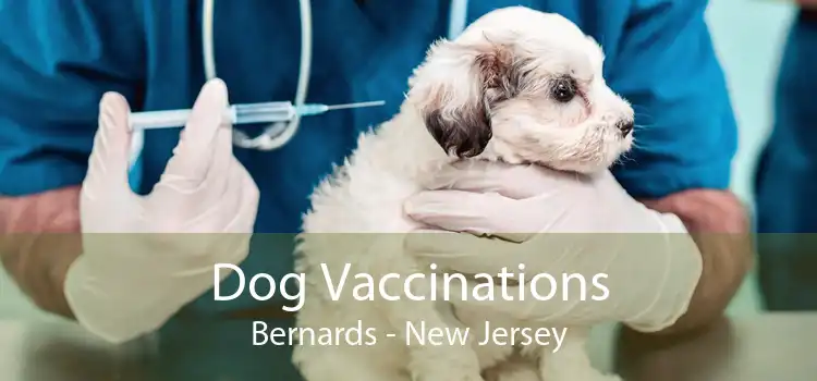 Dog Vaccinations Bernards - New Jersey
