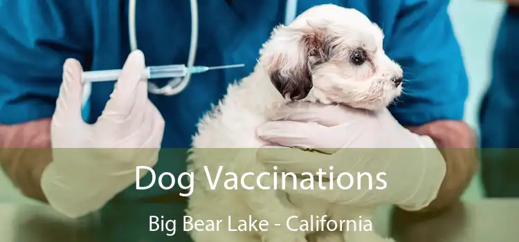 Dog Vaccinations Big Bear Lake - California