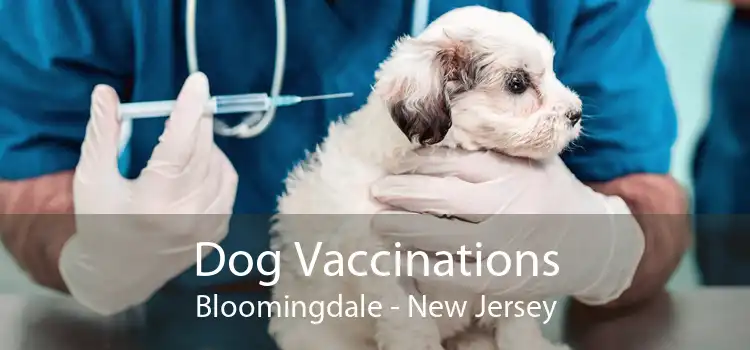 Dog Vaccinations Bloomingdale - New Jersey