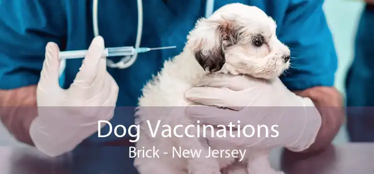 Dog Vaccinations Brick - New Jersey