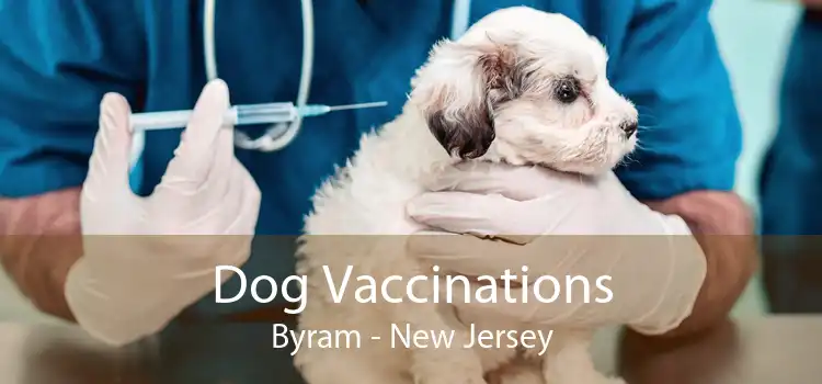 Dog Vaccinations Byram - New Jersey