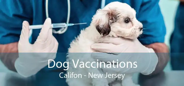 Dog Vaccinations Califon - New Jersey