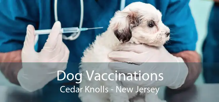Dog Vaccinations Cedar Knolls - New Jersey