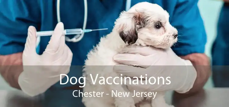 Dog Vaccinations Chester - New Jersey