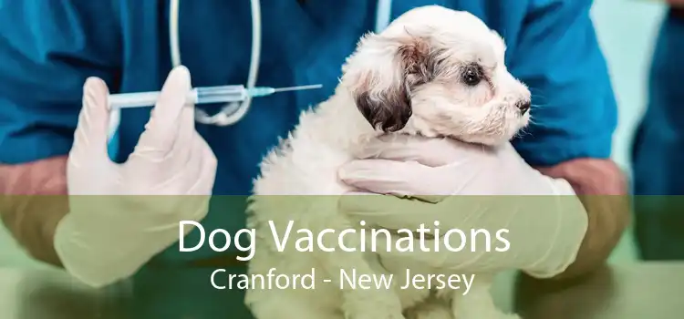 Dog Vaccinations Cranford - New Jersey
